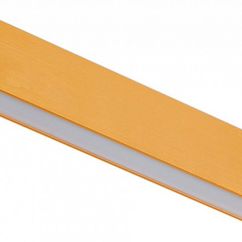 Трековый светильник ST Luce Farm ST817.206.12