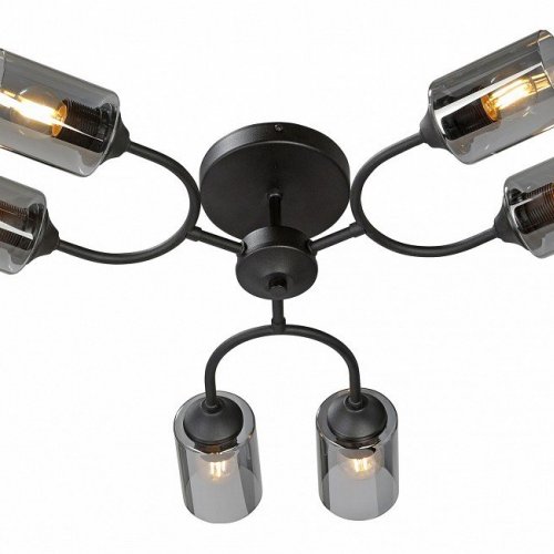 Потолочная люстра Vitaluce V2823-1/6PL Потолочная люстра Vitaluce V2823-1/6PL