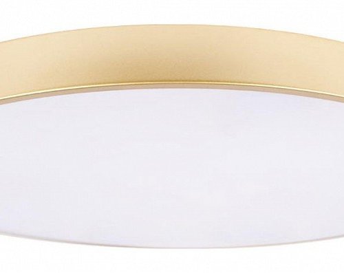 Потолочный светильник Loft IT Flims 10228/B