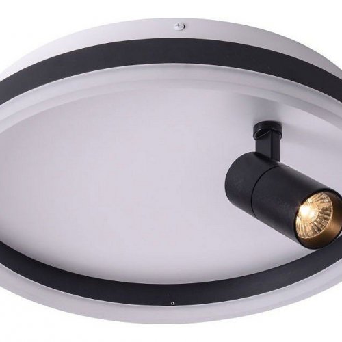 Потолочный светильник Zortes Raizy ZRS.1888.03