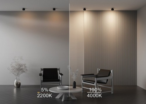 Точечный светильник Maytoni Onda DL024-12W-DTW-B