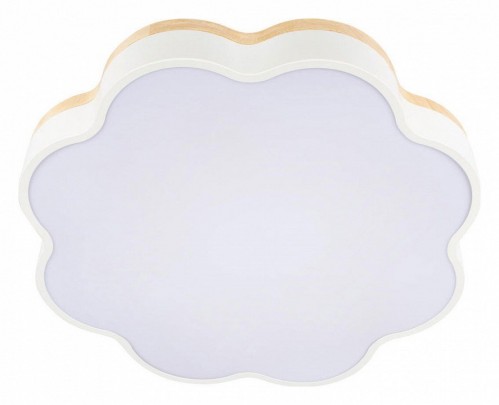 Потолочный светильник Loft IT Axel 10225/36 White