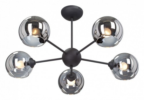 Потолочная люстра Vitaluce V4321-1/5PL