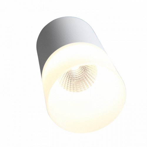 Потолочный светодиодный светильник ST Luce Ottu ST100.502.05 Потолочный светодиодный светильник ST Luce Ottu ST100.502.05