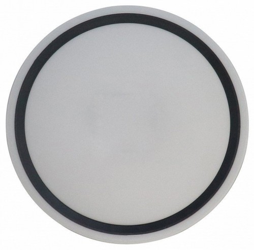 Потолочный светильник Zortes Bella ZRS.1201.04