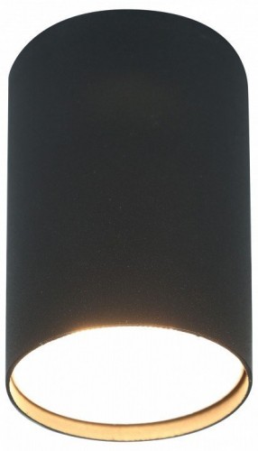 Накладной светильник Эра  OL57 BK