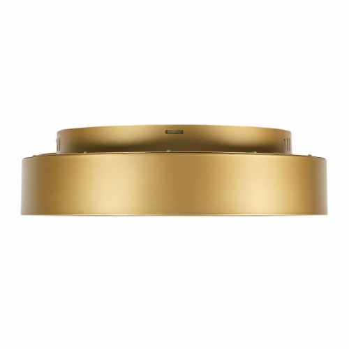 Потолочный светильник MyFar Shannon MR2195-1PL Потолочный светильник MyFar Shannon MR2195-1PL