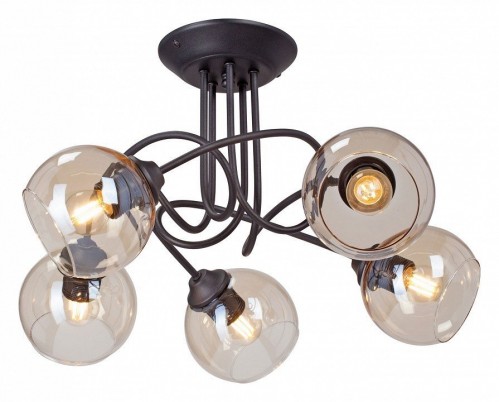 Потолочная люстра Vitaluce V43090-13/5PL Потолочная люстра Vitaluce V43090-13/5PL