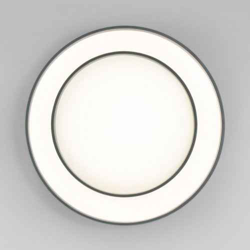 Потолочный светодиодный светильник Eurosvet Force 90330/2 серый