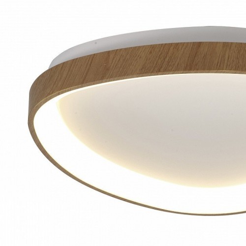 Потолочный светодиодный светильник Mantra Niseko II 8632