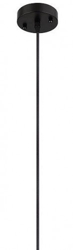 Подвесной светильник Arte Lamp Thomas A7032SP-1BK Подвесной светильник Arte Lamp Thomas A7032SP-1BK