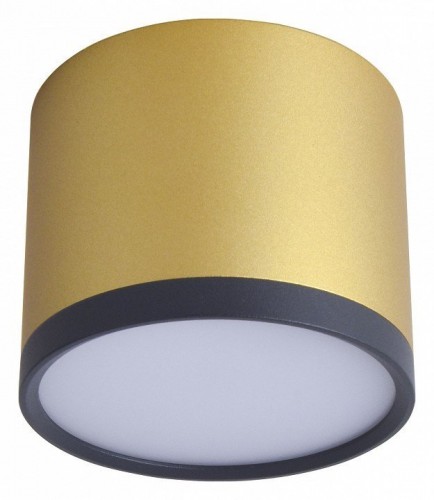 Потолочный светильник Favourite Baral 3082-2C Потолочный светильник Favourite Baral 3082-2C