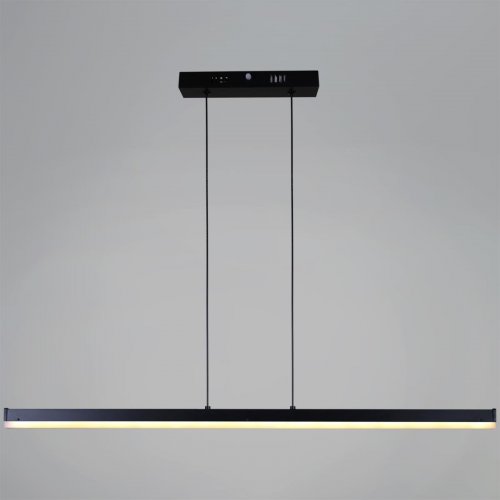 Подвесной светильник Reluce 13602-0.4-01 BK