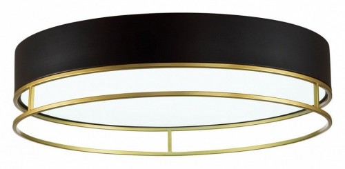 Потолочный светильник Sonex Lofty 7723/65L