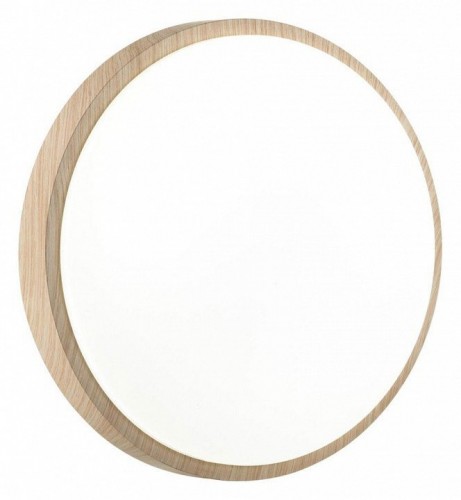 Настенно-потолочный светодиодный светильник Sonex Losta 7607/AL