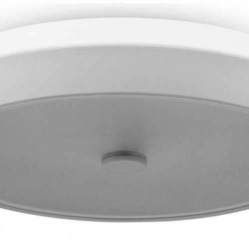 Накладной светильник Freya LED FR10012CL-L24W