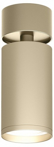 Спот Denkirs Tube DK2029-GG