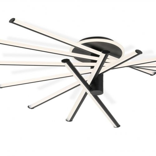 Потолочная люстра Comfort FL6242