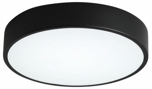 Потолочный светильник Zortes Tortty ZRS.02563.48