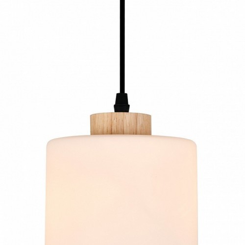 Подвесной светильник Escada 160002 160002/B/1P Black