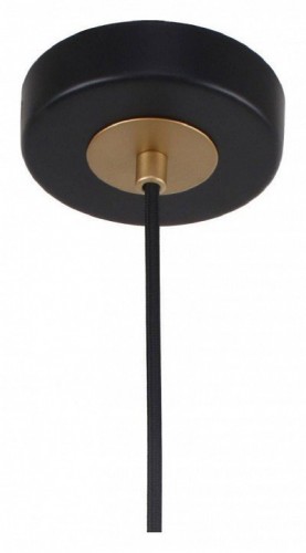 Подвесной светильник F-Promo Rigor 2844-1P Подвесной светильник F-Promo Rigor 2844-1P