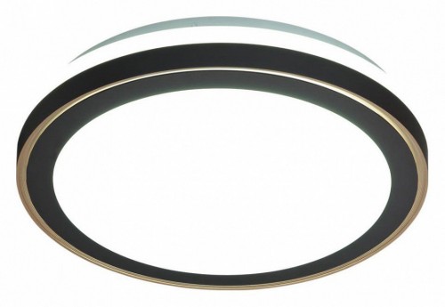 Настенно-потолочный светодиодный светильник Sonex Akuna 7620/DL