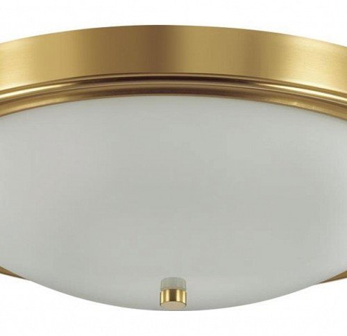 Настенно-потолочный светильник Lumion Nina 5259/4C