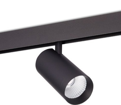 Трековый светильник Donolux Alpha DL20295TW30BTuya