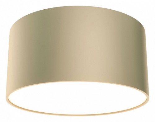 Потолочный светильник Maytoni Zon C032CL-12W4K-RD-MG