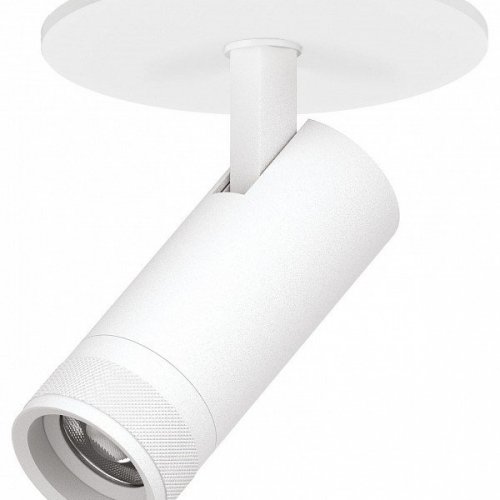 Спот Lightstar Canno Pro C4126RS