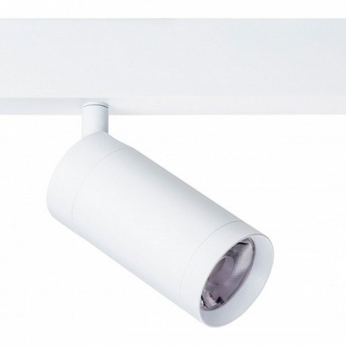 Светильник на штанге Lightstar Teta 205026 Светильник на штанге Lightstar Teta 205026