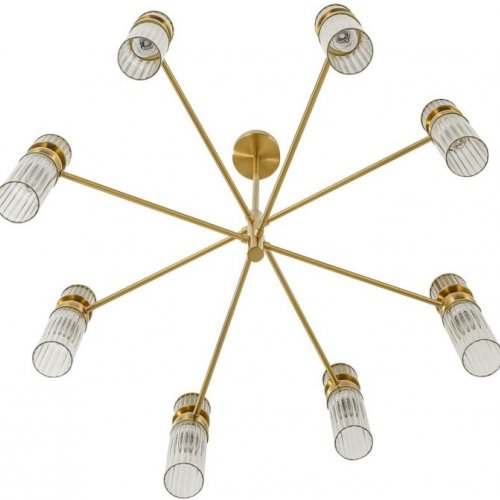 Потолочная люстра Lumion Denver 8276/8