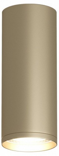 Накладной светильник Denkirs TUBE DK2051-SG Накладной светильник Denkirs TUBE DK2051-SG