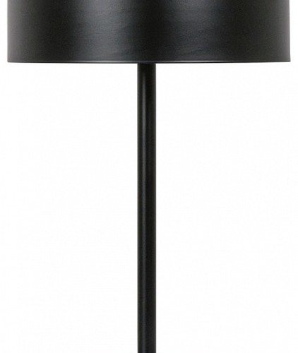Интерьерная настольная лампа Arte Lamp Skat A7052LT-2BK