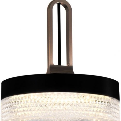 Подвесной светильник DeLight Collection P0855 P0855-1A black