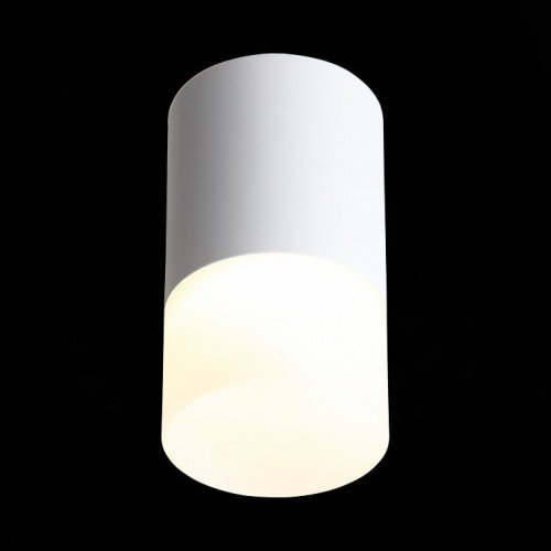 Потолочный светодиодный светильник ST Luce Ottu ST100.502.05 Потолочный светодиодный светильник ST Luce Ottu ST100.502.05