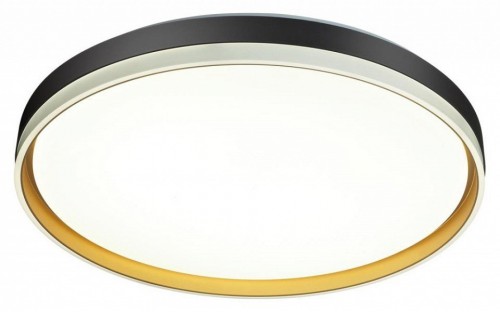 Настенно-потолочный светильник Sonex Savi 7619/ELN Настенно-потолочный светильник Sonex Savi 7619/ELN