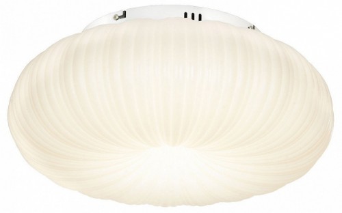 Потолочный светильник Lussole Claudia LSP-0921