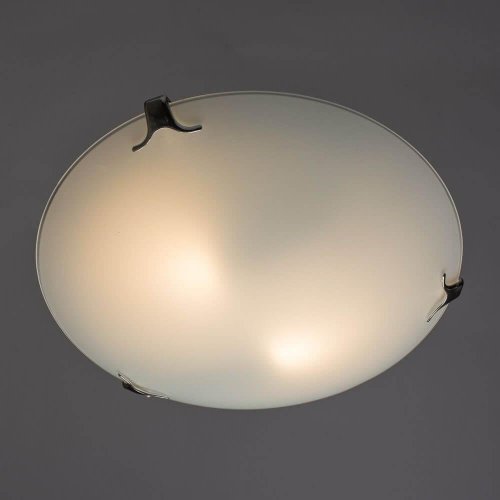 Настенно-потолочный светильник Arte Lamp Plain A3720PL-2CC