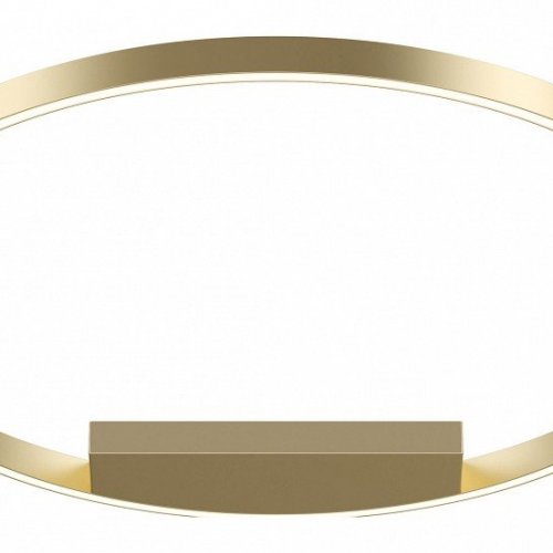 Потолочный светильник Maytoni Rim MOD058CL-L50BSK