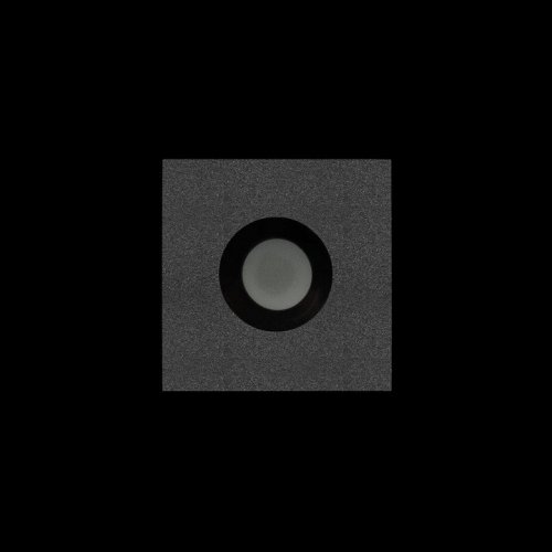 Точечный светильник Chip 10338/A Black