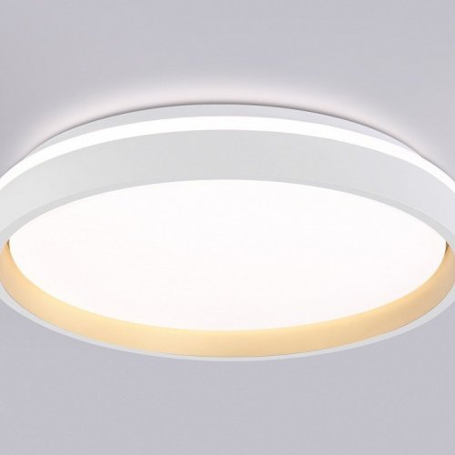 Накладной светильник Ambrella Light FZ FZ607
