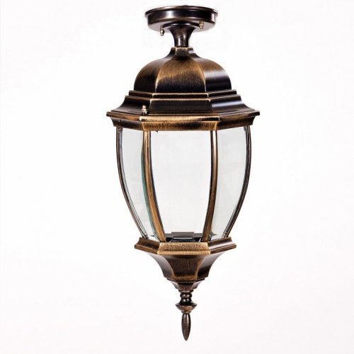 Потолочный светильник уличный Oasis Light ARSENAL L 91205LA Gb