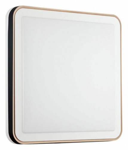 Настенно-потолочный светодиодный светильник Sonex Akuna 7621/DL