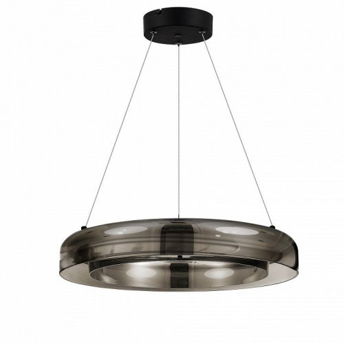 Подвесной светильник ST-Luce Foray SL6019.333.01 Подвесной светильник ST-Luce Foray SL6019.333.01