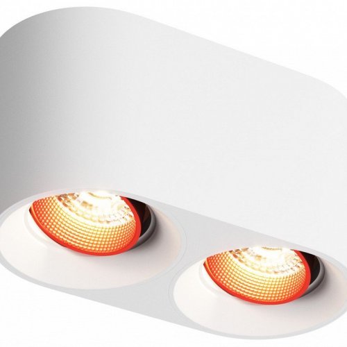Накладной светильник Denkirs DK3096-WH+RD