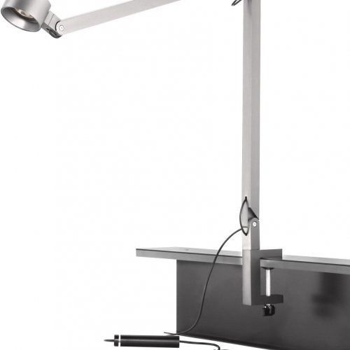 Интерьерная настольная лампа DesignLed JY T-0499B-SG-WW