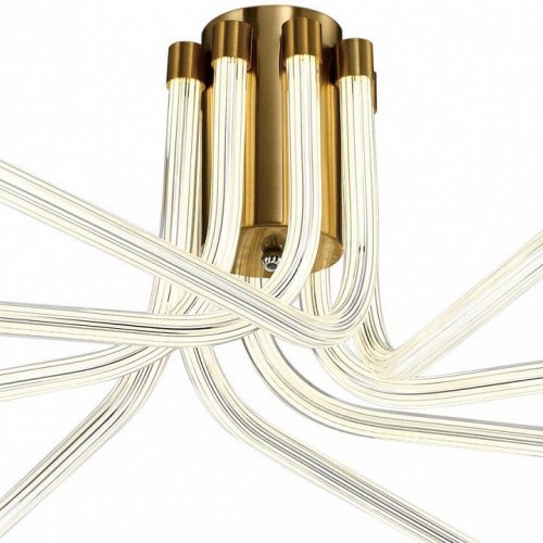 Потолочная люстра Lora ZRS.57784.08