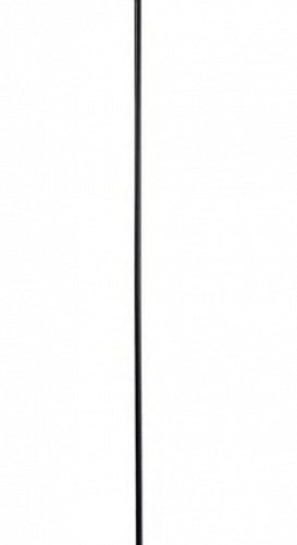 Торшер Divinare Alma 1029/06 PN-11 Торшер Divinare Alma 1029/06 PN-11