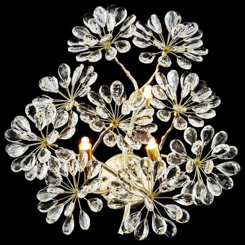 Настенный светильник Darleen WE191.03.301